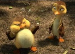 鸭子国产视频,鸭子的趣味生活大揭秘