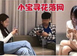 国产秦先生,探寻中国汽车工业的崛起之路